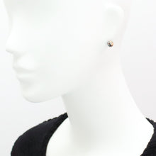 Load image into Gallery viewer, GLITTERING UNIVERSE EARRING